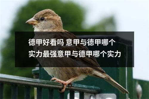 德甲好看吗 意甲与德甲哪个实力最强意甲与德甲哪个实力