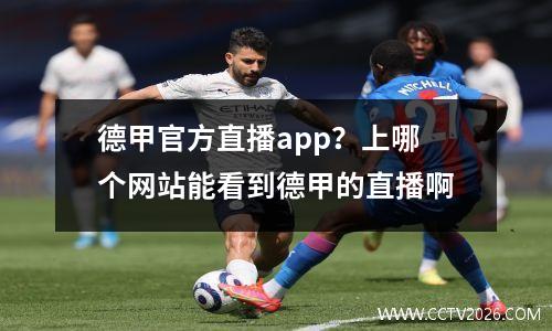 德甲官方直播app？上哪个网站能看到德甲的直播啊