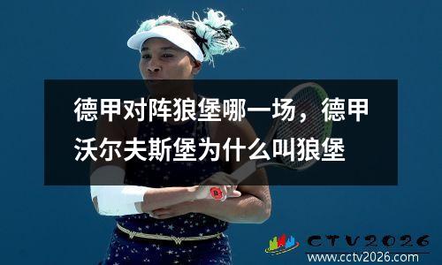 德甲对阵狼堡哪一场，德甲沃尔夫斯堡为什么叫狼堡