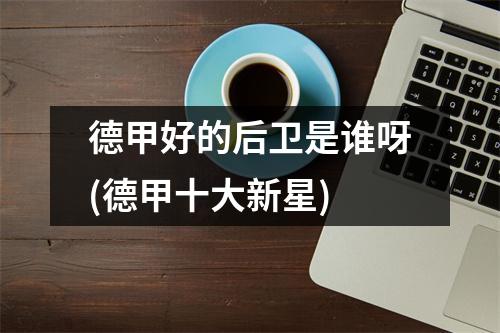 德甲好的后卫是谁呀(德甲十大新星)
