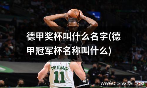 德甲奖杯叫什么名字(德甲冠军杯名称叫什么)