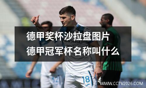 德甲奖杯沙拉盘图片 德甲冠军杯名称叫什么