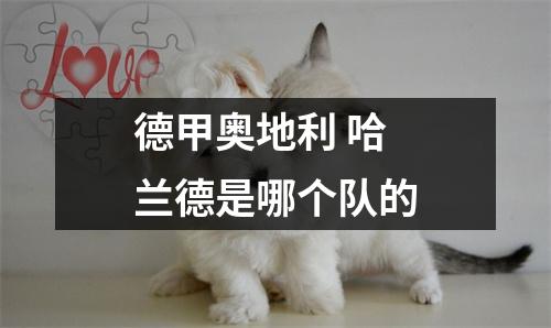 德甲奥地利 哈兰德是哪个队的