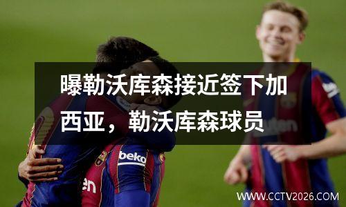 曝勒沃库森接近签下加西亚，勒沃库森球员