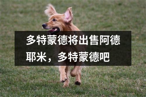 多特蒙德将出售阿德耶米，多特蒙德吧