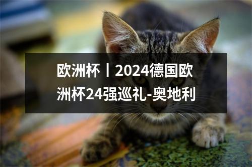 欧洲杯丨2024德国欧洲杯24强巡礼-奥地利