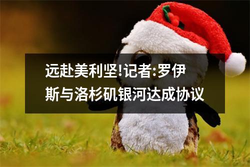 远赴美利坚!记者:罗伊斯与洛杉矶银河达成协议