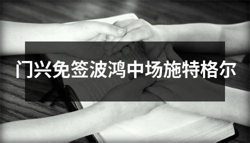门兴免签波鸿中场施特格尔