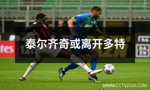 泰尔齐奇或离开多特