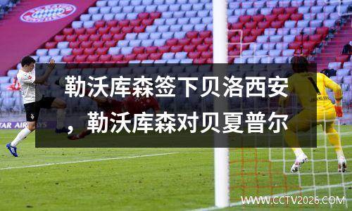 勒沃库森签下贝洛西安，勒沃库森对贝夏普尔