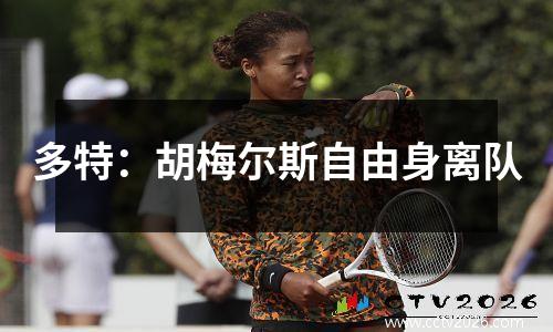 多特：胡梅尔斯自由身离队