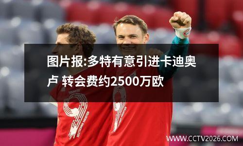 图片报:多特有意引进卡迪奥卢 转会费约2500万欧