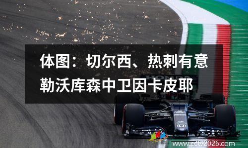 体图：切尔西、热刺有意勒沃库森中卫因卡皮耶