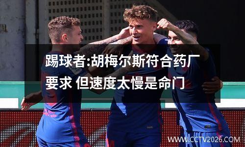 踢球者:胡梅尔斯符合药厂要求 但速度太慢是命门