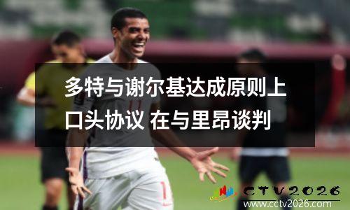 多特与谢尔基达成原则上口头协议 在与里昂谈判