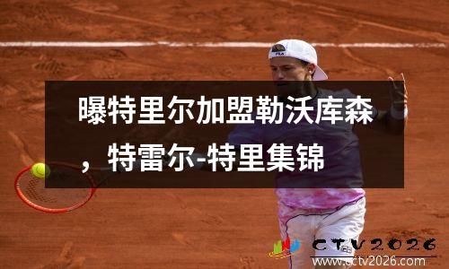 曝特里尔加盟勒沃库森，特雷尔-特里集锦