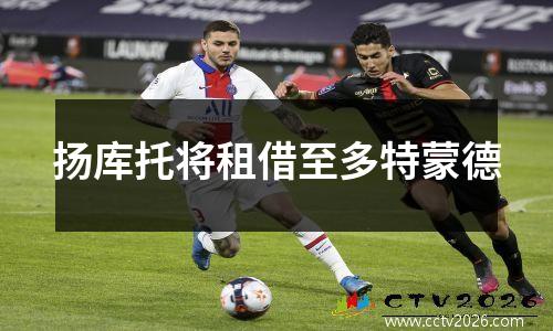 扬库托将租借至多特蒙德