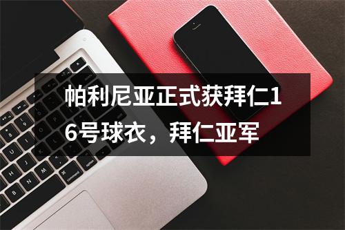 帕利尼亚正式获拜仁16号球衣，拜仁亚军