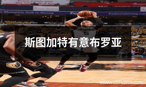 斯图加特有意布罗亚