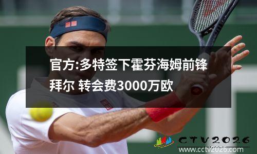 官方:多特签下霍芬海姆前锋拜尔 转会费3000万欧