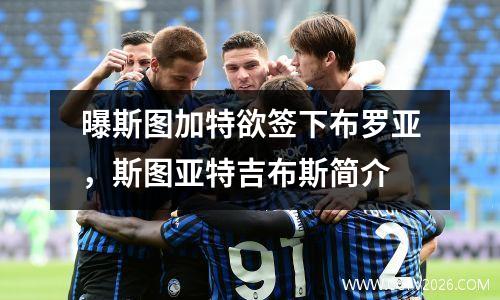 曝斯图加特欲签下布罗亚，斯图亚特吉布斯简介