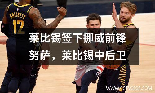 莱比锡签下挪威前锋努萨，莱比锡中后卫