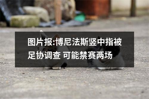 图片报:博尼法斯竖中指被足协调查 可能禁赛两场