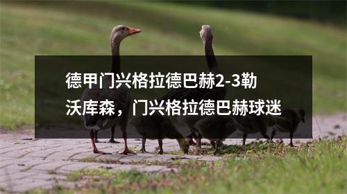 德甲门兴格拉德巴赫2-3勒沃库森，门兴格拉德巴赫球迷