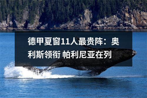 德甲夏窗11人最贵阵：奥利斯领衔 帕利尼亚在列