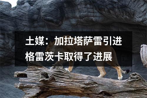 土媒：加拉塔萨雷引进格雷茨卡取得了进展
