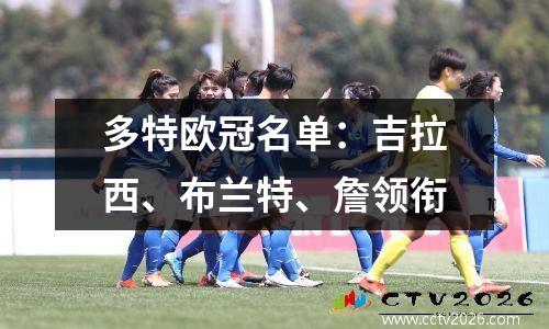 多特欧冠名单：吉拉西、布兰特、詹领衔