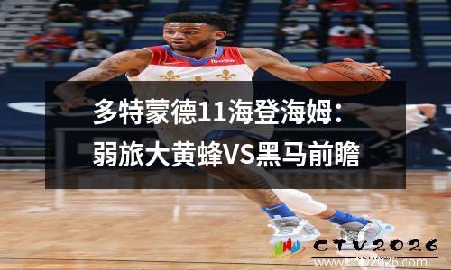 多特蒙德11海登海姆：弱旅大黄蜂VS黑马前瞻