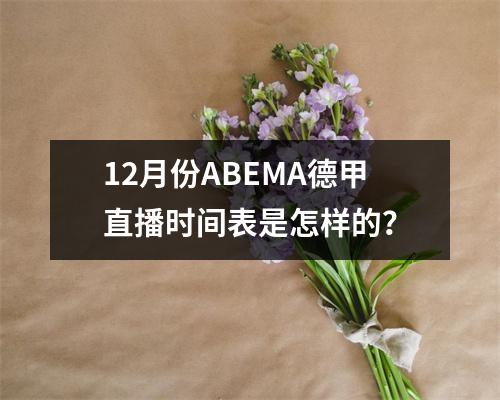 12月份ABEMA德甲直播时间表是怎样的？