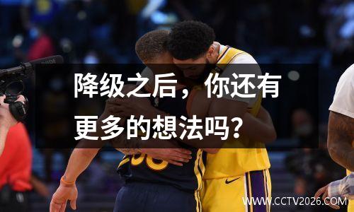 降级之后，你还有更多的想法吗？