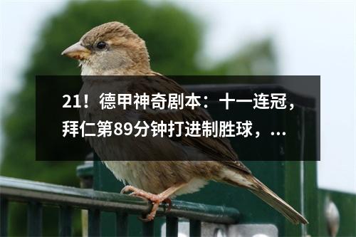 21！德甲神奇剧本：十一连冠，拜仁第89分钟打进制胜球，所有人疯狂庆祝！