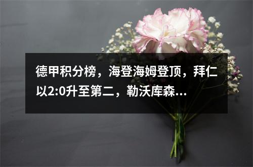 德甲积分榜，海登海姆登顶，拜仁以2:0升至第二，勒沃库森仅排名第八