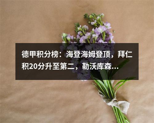 德甲积分榜：海登海姆登顶，拜仁积20分升至第二，勒沃库森排名第八