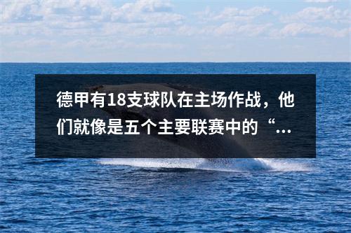 德甲有18支球队在主场作战，他们就像是五个主要联赛中的“大亨”。