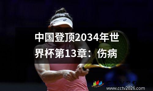 中国登顶2034年世界杯第13章：伤病