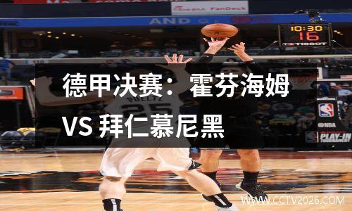 德甲决赛：霍芬海姆VS 拜仁慕尼黑