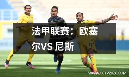 法甲联赛：欧塞尔VS 尼斯