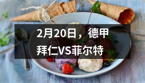 2月20日，德甲拜仁VS菲尔特