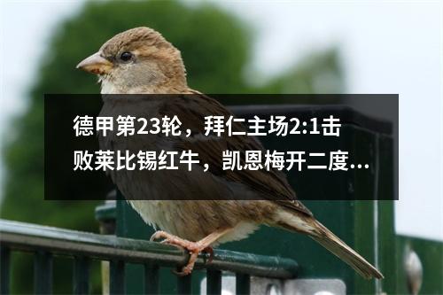 德甲第23轮，拜仁主场2:1击败莱比锡红牛，凯恩梅开二度成为救世主。