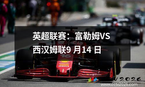 英超联赛：富勒姆VS 西汉姆联9 月14 日