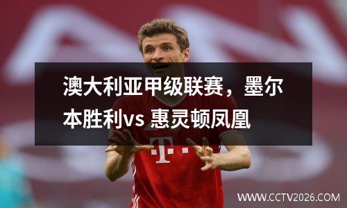 澳大利亚甲级联赛，墨尔本胜利vs 惠灵顿凤凰