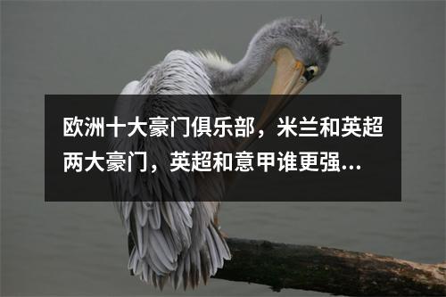 欧洲十大豪门俱乐部，米兰和英超两大豪门，英超和意甲谁更强？
