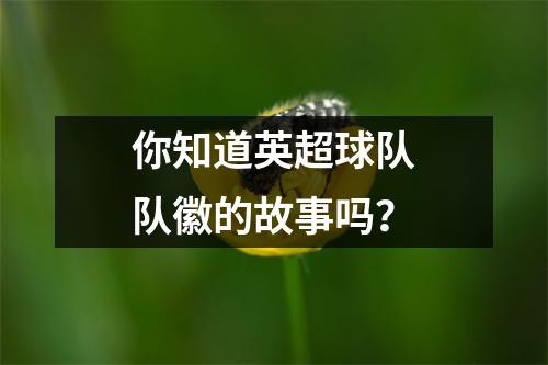 你知道英超球队队徽的故事吗？
