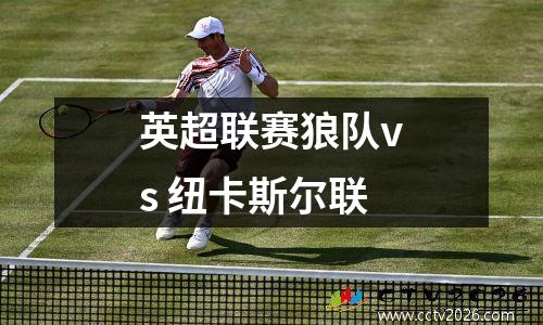 英超联赛狼队vs 纽卡斯尔联