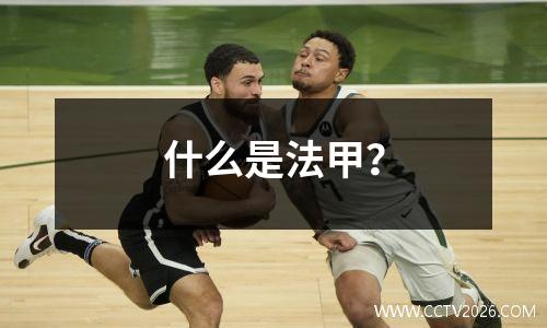 什么是法甲？