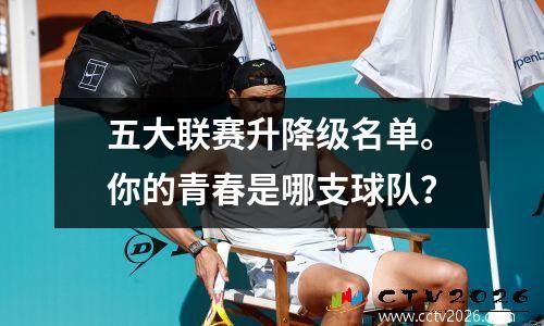 五大联赛升降级名单。你的青春是哪支球队？